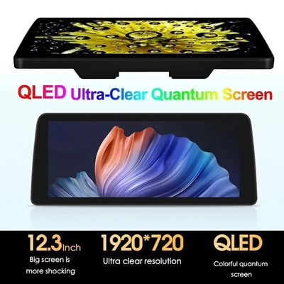 USB 연결 12.3 인치 8 코어 자동차 라디오와 4G 와이파이 Carplay 블루투스 GPS 터치 스크린
